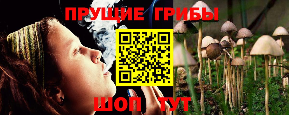 Псилоцибиновые грибы Cubensis  Псилоцибиновые грибы Magic Shrooms  Вход с VPN  Белово 